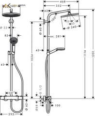 Sen tắm cây Hansgrohe 27361000