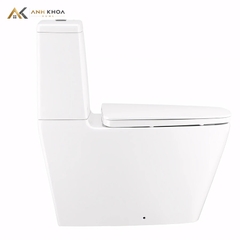 Bồn cầu 2 khối Cotto C135107