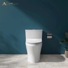 Bồn cầu 1 khối Viglacera HL2