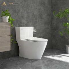 Bồn cầu 1 khối Viglacera P355 (P.11.320)