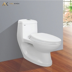 Bồn cầu 1 khối Viglacera C0504