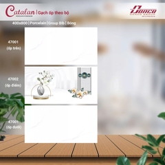 Gạch Catalan 40x80cm 47001