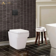 Bồn cầu âm tường Viglacera V50