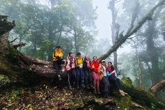 TOUR TREKKING LEO NÚI PUTALENG (3 ngày 2 đêm)