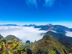 Tour Trekking Leo Núi Tả Liên Sơn
