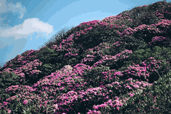 Tour Trekking Leo Núi Putaleng