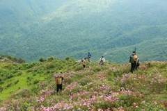 Tour Trekking Leo Núi Nhìu Cồ San
