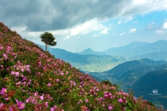 Tour Trekking Leo Núi Nhìu Cồ San
