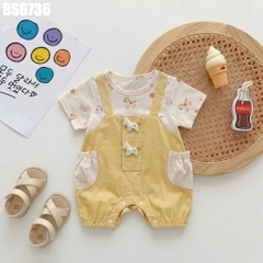 Body Giả Yếm Ngựa