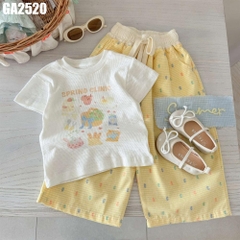 Set Áo Hình Quần Caro