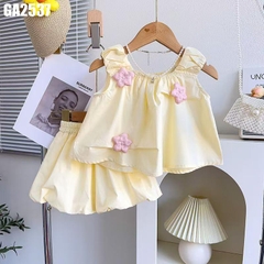 Set Áo Đính Hoa Kèm Quần
