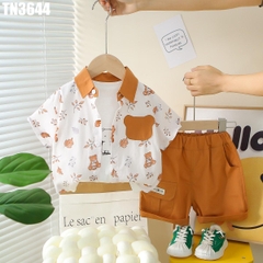 Set 3 Món Áo Gấu