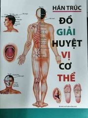 Đồ giải Huyệt vị cơ thể