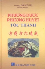 Phương dược phương huyệt tốc thành