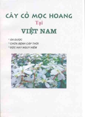 Cây cỏ mọc hoang tại Việt Nam