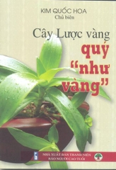 Cây lược vàng quý 