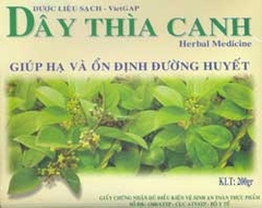 Dây Thìa canh