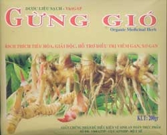 Gừng gió