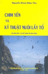 Chim Yến và kỹ thuật nuôi lấy tổ