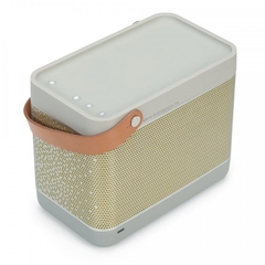 Loa B&O Beolit 12