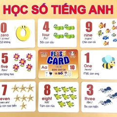 Bộ Thẻ Học Thông Minh 18 Chủ Đề Song Ngữ Anh - Việt Theo Phương Pháp Glenn Doman