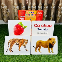 Bộ Thẻ Học Thông Minh 15 Chủ Đề Loại To Song Ngữ Anh - Việt Glenn Doman Flashcard Cho Bé Từ 0-6 Tuổi