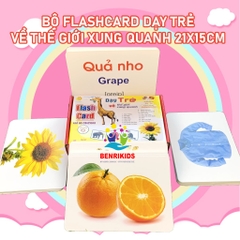 Bộ Thẻ Học Thông Minh 15 Chủ Đề Loại To Song Ngữ Anh - Việt Glenn Doman Flashcard Cho Bé Từ 0-6 Tuổi