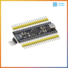 Kit phát triển STM32F401RCT6 Type-C (BOOT/RESET)