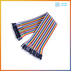 Dây bus 40P 20CM (40 sợi)