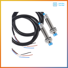 Cảm biến tiệm cận phát hiện kim loại LJ12A3-4-Z/BX  NPN