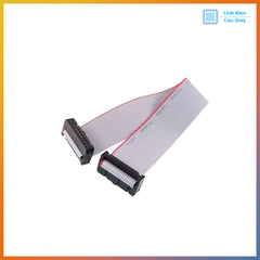 Dây Cáp IDE 2 Đầu Cái Dài 30cm