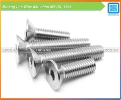 Bulong Lục Giác đầu chìm M5 (SL 10c)