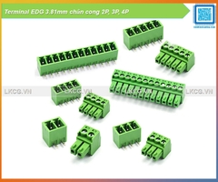 Connector Terminal EDG3.81mm (chân cong)