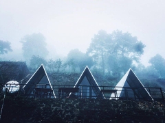 Homestay 90S Tam Đảo