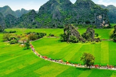 DAILYTOUR: Tour du lịch Ninh Bình hàng ngày