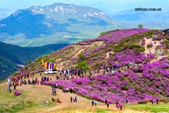 Tour Hàn Quốc tháng 9: Hà Nội - Seoul - Nami - EverLand 6 ngày 5 đêm