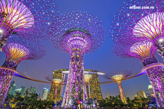 Tour Singapore: Hà Nội - Singapore - Sentosa - Hà Nội