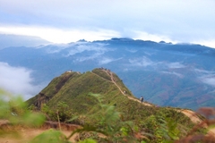 Tour săn mây Tà Xùa - Bắc Yên 2 ngày 1 đêm