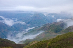 Tour săn mây Tà Xùa - Bắc Yên 2 ngày 1 đêm