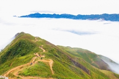 Tour săn mây Tà Xùa - Bắc Yên 2 ngày 1 đêm