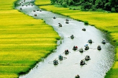 DAILYTOUR: Tour du lịch Ninh Bình hàng ngày