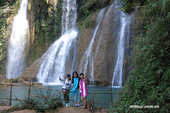 Tour Mộc Châu: Hà Nội - Mộc Châu - Rừng Thông Bản Áng - Đồi Chè