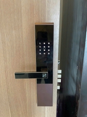 Khóa cửa thông minh Turlock GT640