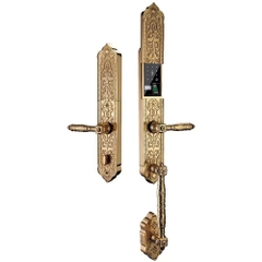 Khóa Cửa Vân Tay Turlock Cao Cấp TL99