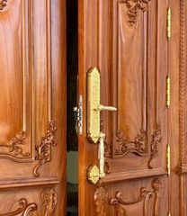 Khóa Cửa Vân Tay Turlock Cao Cấp TL99