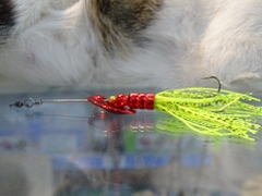 Spiner tầng lững