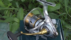 Máy câu Daiwa Freams 2500LT