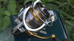 Máy câu Daiwa Freams 2500LT