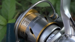 Máy câu Daiwa Freams 2500LT