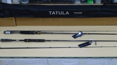 Cần Daiwa Tatula 2 khúc